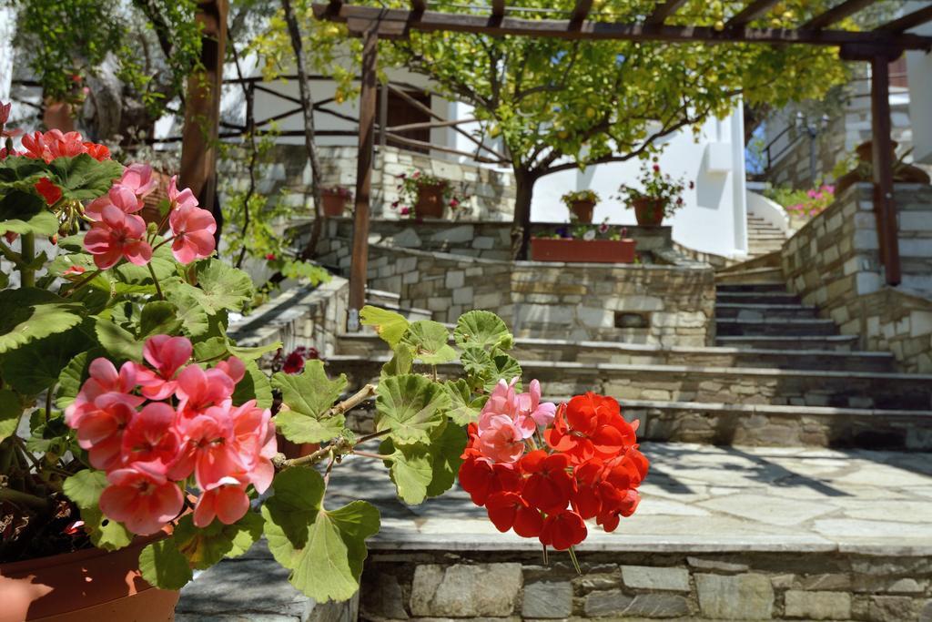 Diplomats' Holidays Khórto Ngoại thất bức ảnh